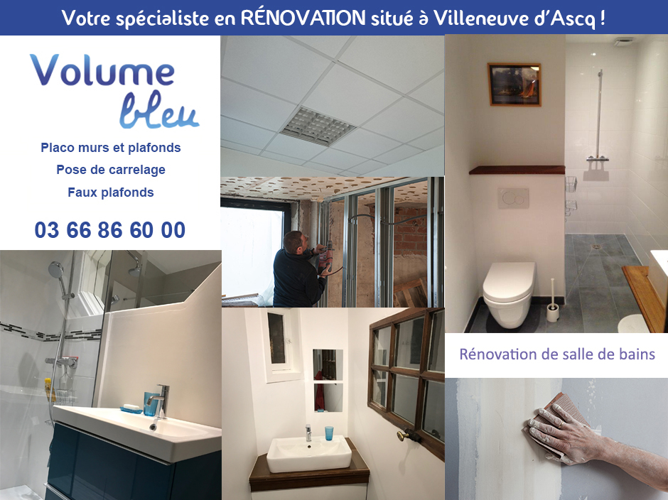 Renovation interieure, placo murs et plafonds, pose de carrelage, faux plafonds